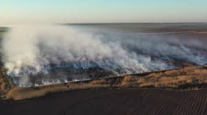 Planul este să am 100 de parteneri revânzători Video Capitala È™i Nord Vestul JudeÈ›ului Ilfov Poluate Intens De Un Incendiu De VegetaÈ›ie De La O FostÄƒ FermÄƒ De Porci Din PeriÈ™ Au Ars Inclusiv Materii Fecale Buletin De BucureÈ™ti
