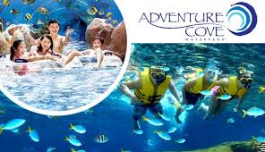 Adventure cove waterpark anmeldelser, sentosa island. Adventure Cove Waterpark E Ticket Sahabat Tour Travel Malang