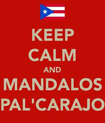 Pin By Tina Silva On Entertaining Puerto Rico Art Puerto Rican Flag Puerto Rican Memes