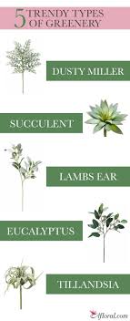 20 greenery wedding bouquets ideas to steal. 15 Greenery Types Of Greenery For Bouquets Ideas In 2021 Greenery Wedding Wedding Flowers Wedding