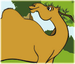 You make me wanna walk like a camel. Https Ncert Nic In Textbook Pdf Ceen110 Pdf