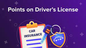 Driver's License Points: State Guide For 2022