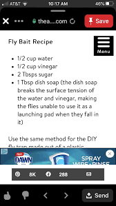 Pin By Melanie Pomikal On Anti Bug Surface Tension Food Menu Fly Bait