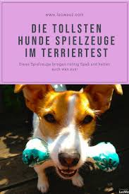 Im Terriertest Die Besten Und Haltbarsten Spielzeuge Fur Hunde Spielzeug Hund Hunde Terrier