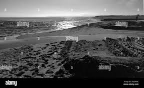 Nudism Cala - Black and White Images of Naked Beach