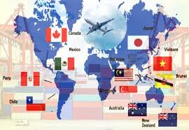 Cptpp Vietnam S Strong Commitment To Renovation International Integration Bao Binh DÆ°Æ¡ng Online