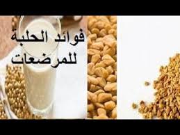 فوائد الحلبة للمرأة المرضعة تعرف على فوائد حبوب الحلبة لجسمك Food Breakfast Cereal