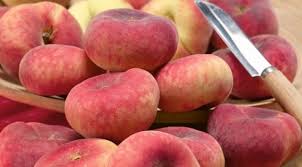 Pecher Oriane Cov Arbre Fruitier Fruitier Arbre
