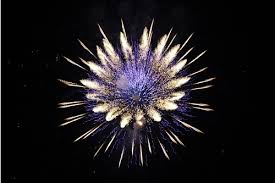 Image result for images of fireworks