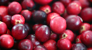 Les infections urinaires bactériennes peuvent affecter l'urètre, la prostate, la vessie ou les reins. Infection Urinaire La Cranberry Un Remede Naturel Efficace Bio A La Une