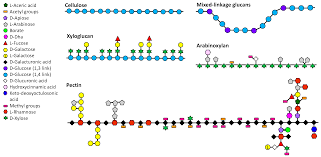 Introduction the term fermentation is derived from the latin verb fervere, to boil, thus describing the appearance of the for some fermentations, notably plant and animal cell culture, the water must be highly purified. Ijms Free Full Text Gut Fermentation Of Dietary Fibres Physico Chemistry Of Plant Cell Walls And Implications For Health