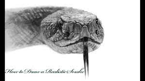 In this video, draw a realistic snake, with the help of prismacolor colored pencils and gel pen. How To Draw A Realistic Snake Step By Step Tutorial Youtube