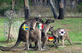 Midfielder thorgan hazard will miss belgium's final euro 2020 group match against finland on monday but should be available for the later stages of the tournament, coach roberto martinez said. Group F Meme Troll Football