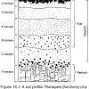 Savesave sammy soil book by epa for later. 1