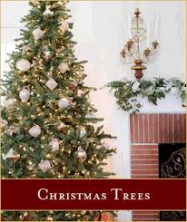 It also boasts the world's largest christmas store. House Of Holiday Christmas Tree Shop Christmas Store In Queens Ny