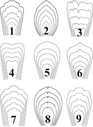 Free for commercial use no attribution required high quality images. Paper Rose Template Printable Flower Templates Giant Free Pdf Superb 5 Petal Flower Te Paper Flower Patterns Giant Paper Flowers Template Paper Flower Template