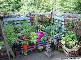 Grâce à cet ouvrage, apprenez à connaître les espèces qui s'y adaptent le mieux, leur méthode de culture. 10 Idees De Recuperation Au Jardin