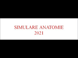 Baremul de verificare răspunsul aşteptat. Simulare Anatomie Bac Biologie 2021 Youtube