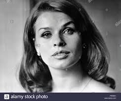 Die schauspielerin senta berger über ihre schulzeit in wien, die generation ihrer söhne und über die mutige und selbstbewusste jugend von heute. 1966 Senta Berger Stockfotos Und Bilder Kaufen Alamy
