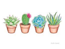 Semillas cactus y plantas suculentas. Succulent Watercolor Art Print Cactus Painting Plant Wall Etsy Ilustracion De Cactus Pintura De Cactus Fondos De Cactus