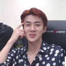 The Type Of Boyfriend Sehun In 2020 Sehun Cute Sehun Exo Funny