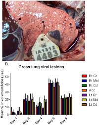 That is not normal if it had really crashed it would say something like: Kinetics Of Respiratory Syncytial Virus Rsv Memphis Strain 37 M37 Infection In The Respiratory Tract Of Newborn Lambs As An Rsv Infection Model For Human Infants