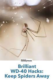 34 Brilliant Ways To Use Wd 40 At Home Wd 40 Keep Spiders Away Homemade Cleaning Solutions