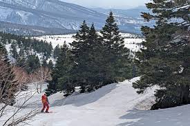 Image result for Hakkoda Walk