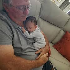 Were beavers reintroduced to the Manatawny Creek area or did they migrate  down from the Pocono Mountains?