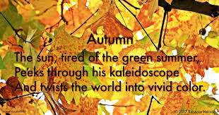 Poetry Friday Autumn Sloth Reads