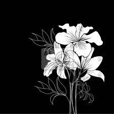 Fiori & alberi vedi altro. Sfondo Bianco E Nero Con Fiori Bianchi Carta Da Parati Carte Da Parati Ibisco Flayer Incisione Myloview It