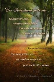 Tierkommunikation Tierpsychologie Energetik Hunde Zitate Tiere Trauer Um Hund Tierkommunikation