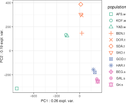 A Guinea Fowl Genome Assembly Provides New Evidence On