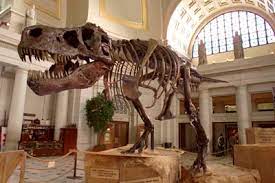 You can learn more about fossils, dinosaurs, radiometric dating and related topics by reading through the links below. How Do Scientists Determine The Age Of Dinosaur Bones Howstuffworks