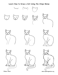 This cat drawing tutorial was written and illustrated by tim van de vall. Cat Drawing Lesson