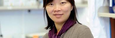 Ping Chi: Featured News