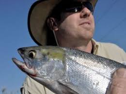 Changes coming for some fisheries in northcentral Washington