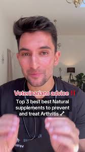 Top Natural Supplements for Healthy Dogs' Joints