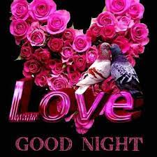 Good morning, my lovely wife. Good Night Beautiful Flowers For Lovers By Raja Jee Facebook