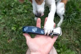 I have stayed at various extended stay americas during my travels because they offer a lot of amenities that i look. 9 Perfect Pet Friendly Patios Around Columbus