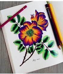 Leila Duly On Instagram Wow Leidianycris Loving Your Colours From The Flower Year Color Pencil Art Floral Drawing Coloring Book Art