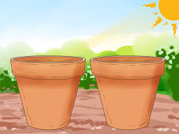 These aggressive plants choke out the garden plants you've worked so hard to grow. How To Clean Clay Pots 14 Steps With Pictures Wikihow
