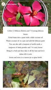 Unfollow mira hair oil to stop getting updates on your ebay feed. Mira Rajput Beauty Tips Get Healthy Shiny Tresses By Using Mira Rajput Inspired Homemade Hibiscus Hair Oil And Mask