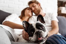 Bulldog heating & cooling is an assembly of hvac companies covering 280+ cities and towns across canada. Heating Ac Electrical Services De Soto Mo Hvac Company