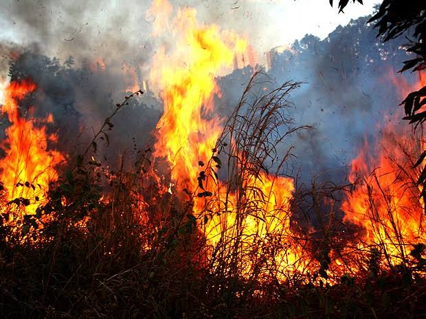 Resultado de imagem para queimadas no Maranhão