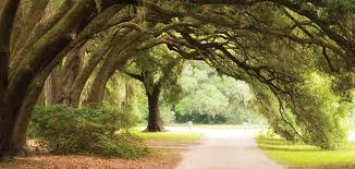 As usual, they have also been given a handful of negative reviews, but these do not seem to be indicative of a larger problem. Charleston Sc Historic Plantations Gardens Official Guide