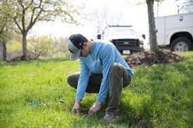 Watering New Grass Seed How Much To Water And Care Tips