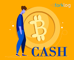 Chto Takoe Bitcoin Cash Bch I Kak On Poyavilsya Forklog