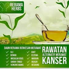 Kini teh daun rerama telahpun mendapat pengiktirafan pihak media. Khasiat Daun Rama Rama Watsap Khasiat Daun Rerama Hijau Facebook