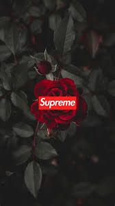 Funny xbox gamerpics gamer pictures 1080x1080 posted by christopher anderson download meme png gif base cool wallpapers on wallpaperdog. Roses Gamerpic Grunge Tumblr Aesthetic Red Redaesthetic Rose This Means You Can Customize Your Xbox Lekisha Dally